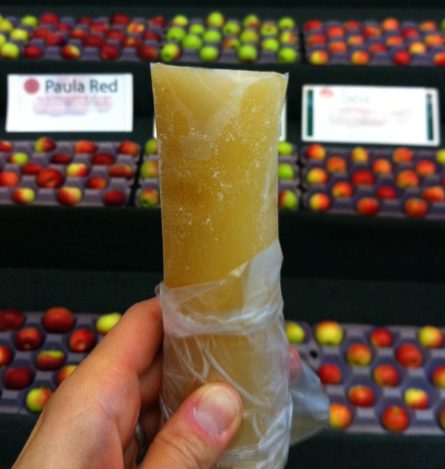 …but I enjoy an apple cider popsicle even more!  This was super refreshing; I could have eaten these all day long.  (Makes me think that I should make some of these on my own…)
