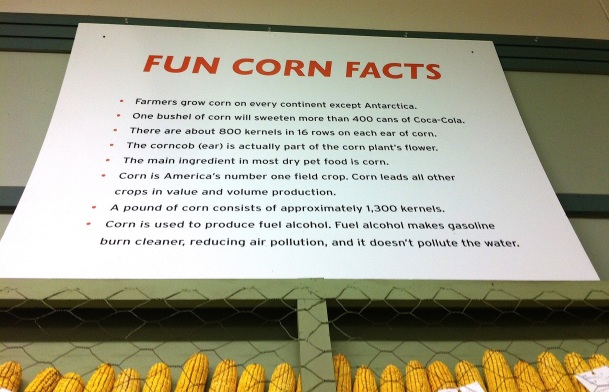 Corn is fun!