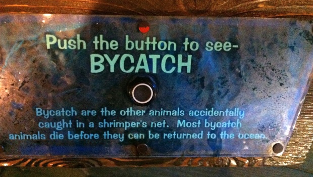 89_bycatch sign